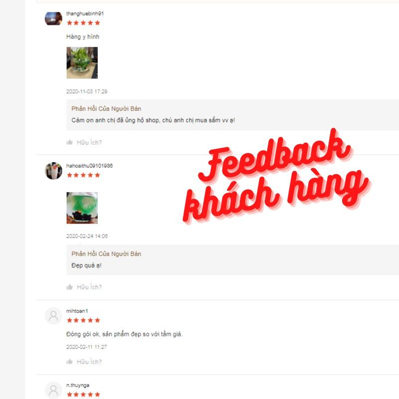 Bể cá mini để bàn tròn - Tặng phụ kiện