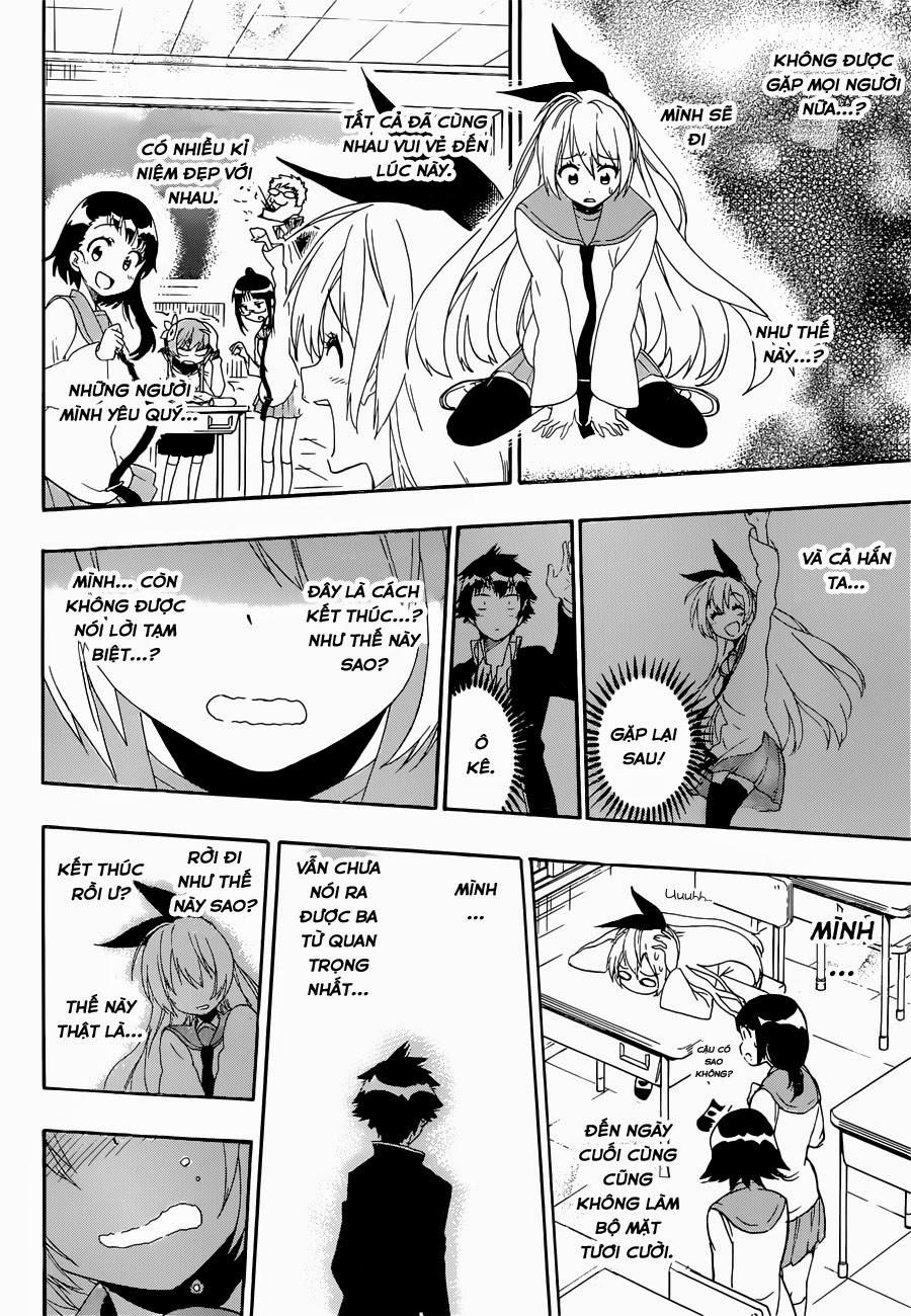 nisekoi - tình yêu giả tạo chapter 160 17