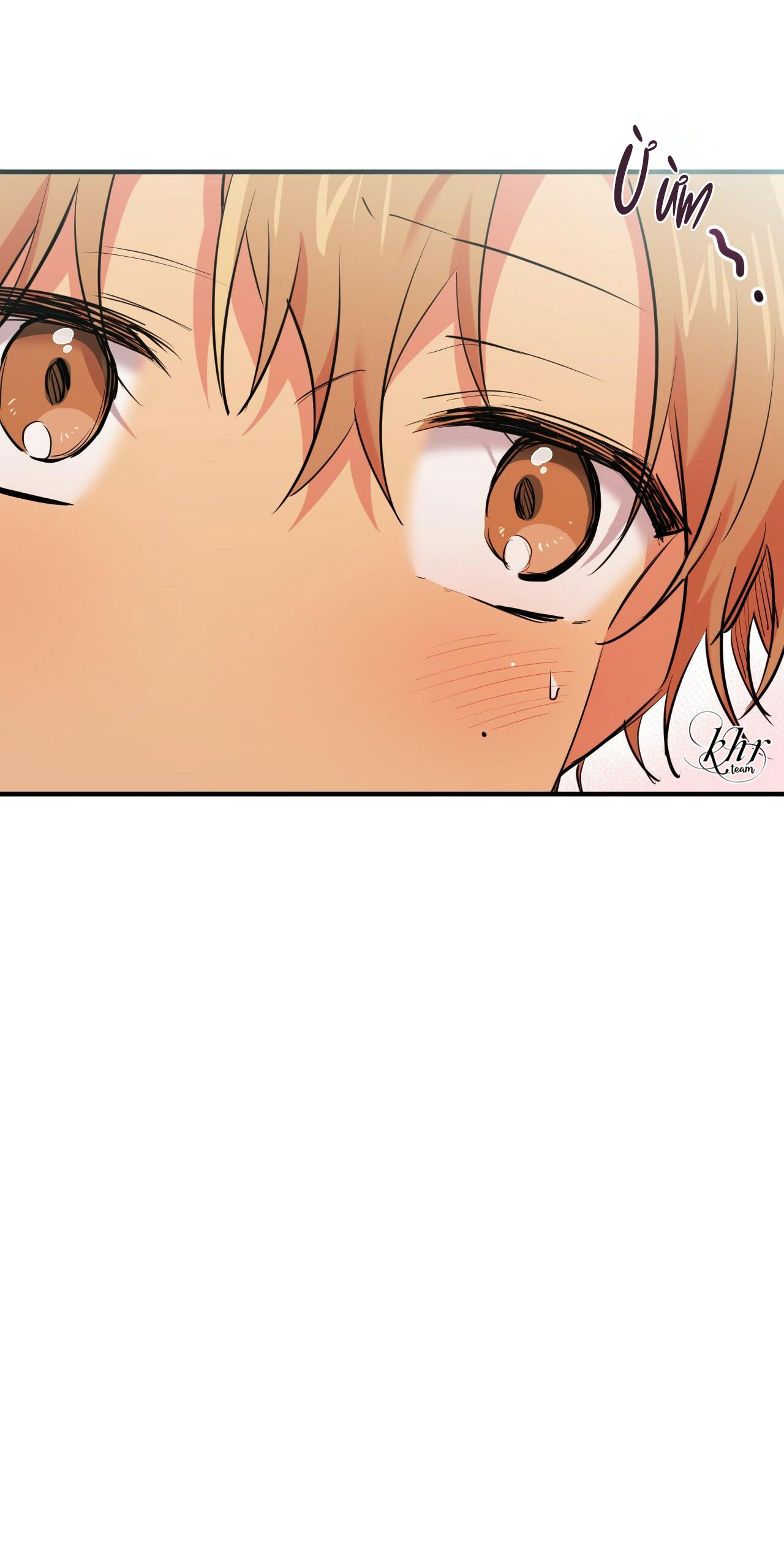 những chú thỏ của hapypy chapter 31 4