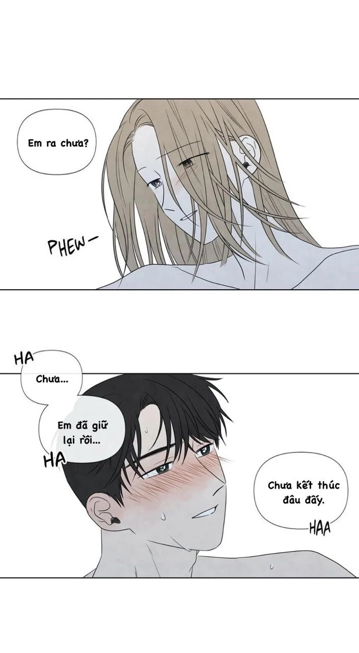 summer solstice point chapter 19 50