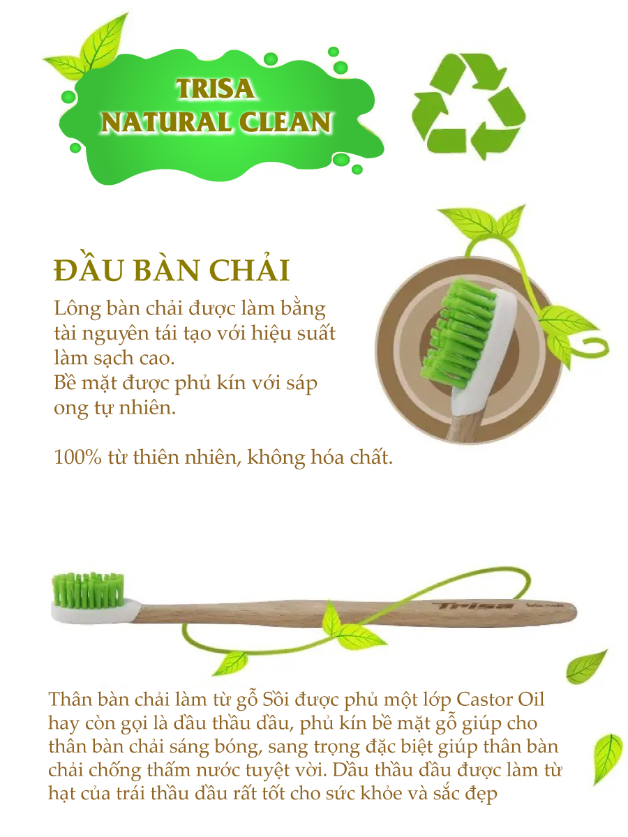 Bàn Chải Đánh Răng Thân Gỗ Nhập Từ Thụy Sỹ Trisa Natural Clean