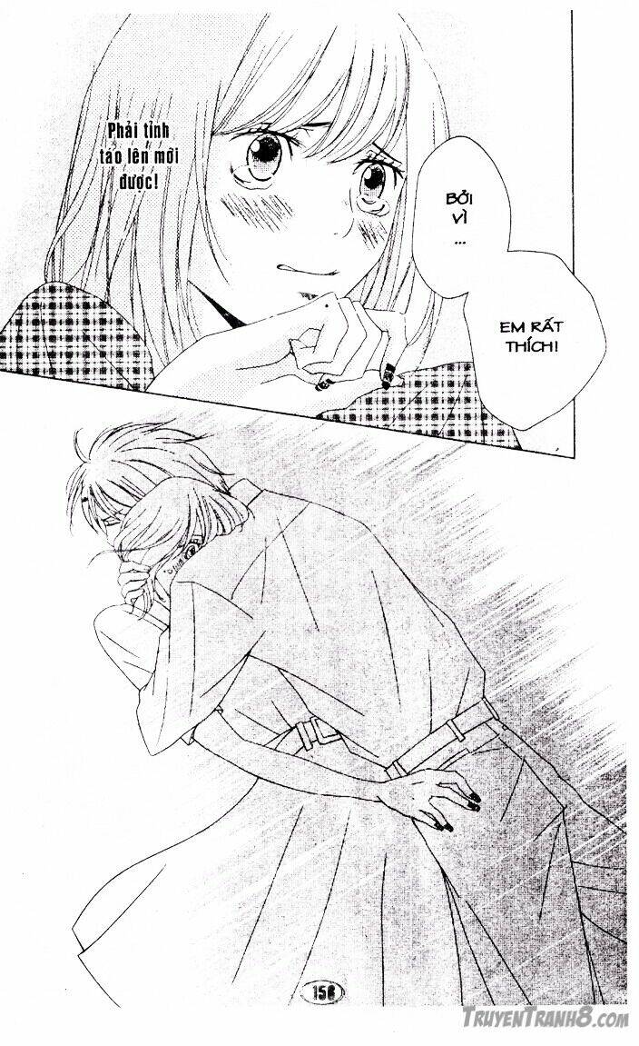 hôn cánh hoa yêu chapter 12 10