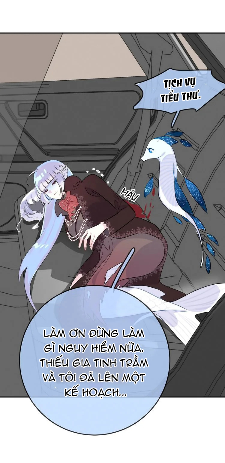 bộ váy của nàng tiên cá chapter 13 27