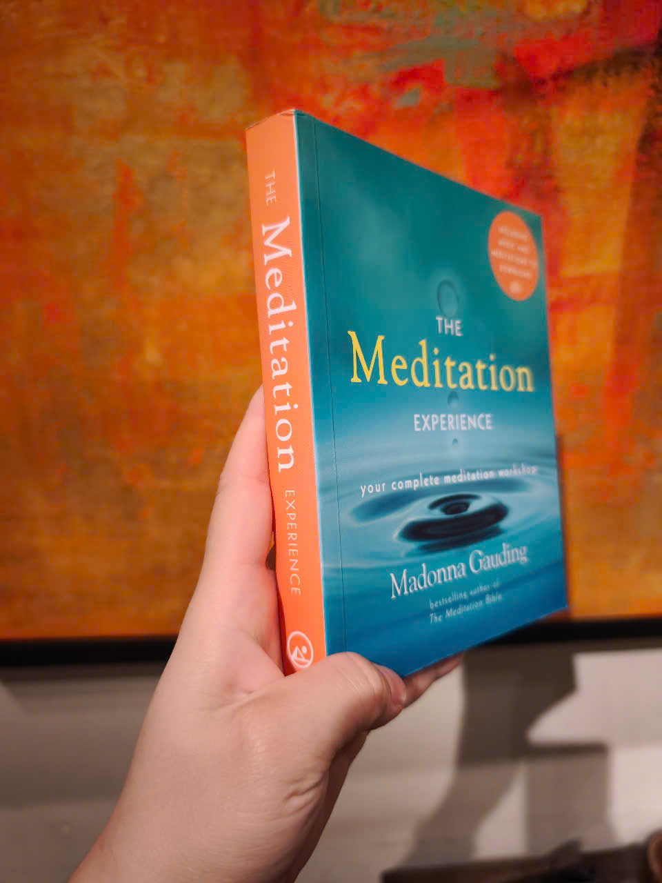 Sách - The Meditation Experience: Your Complete Meditation Workshop by Madonna Gauding