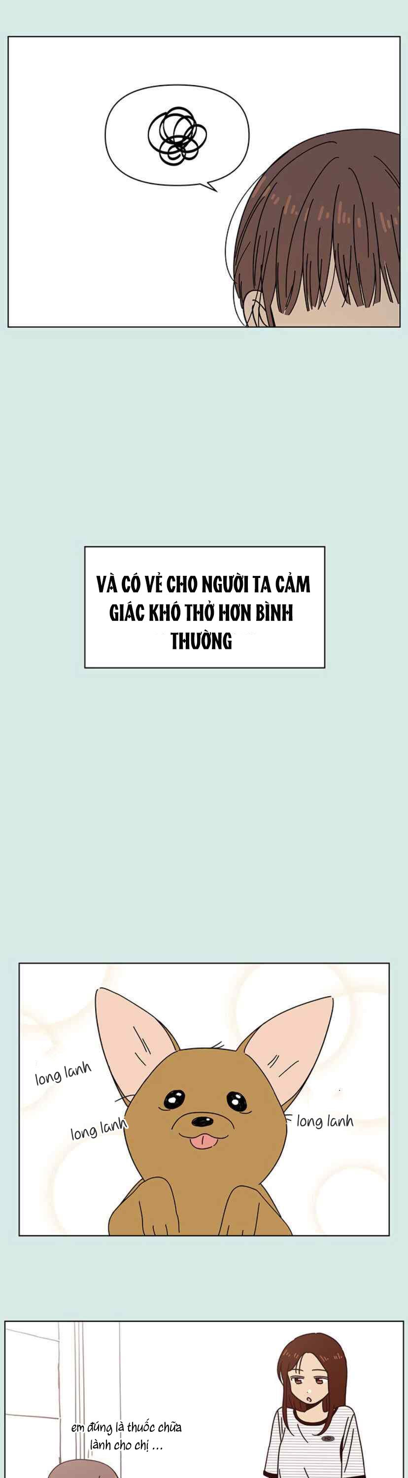 thanh xuân rực rỡ - season of blossom chapter 52 20