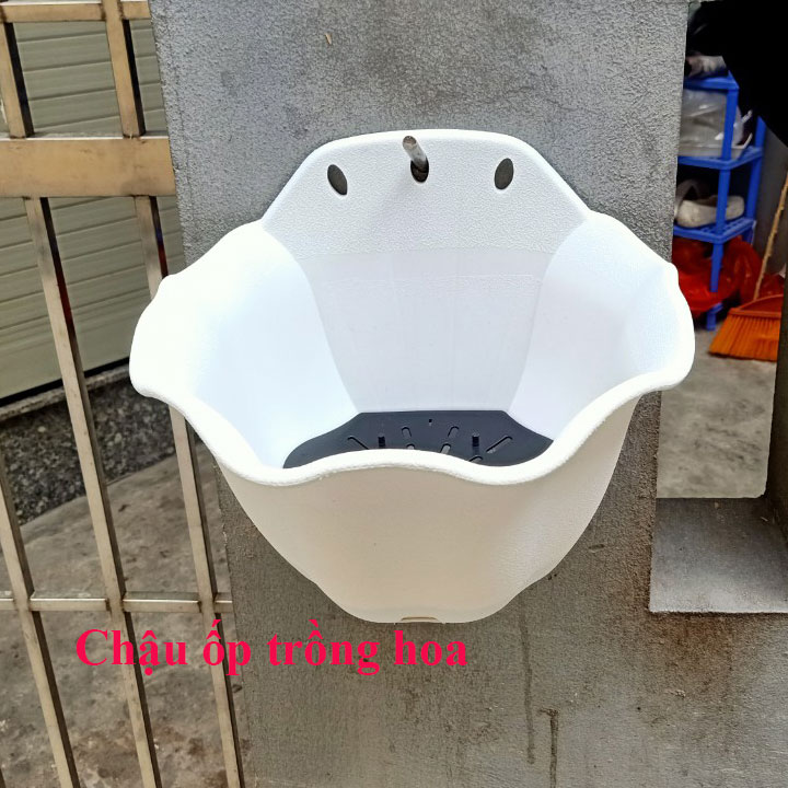 Chậu trồng hoa trồng rau cây cảnh ốp tường ATP - To