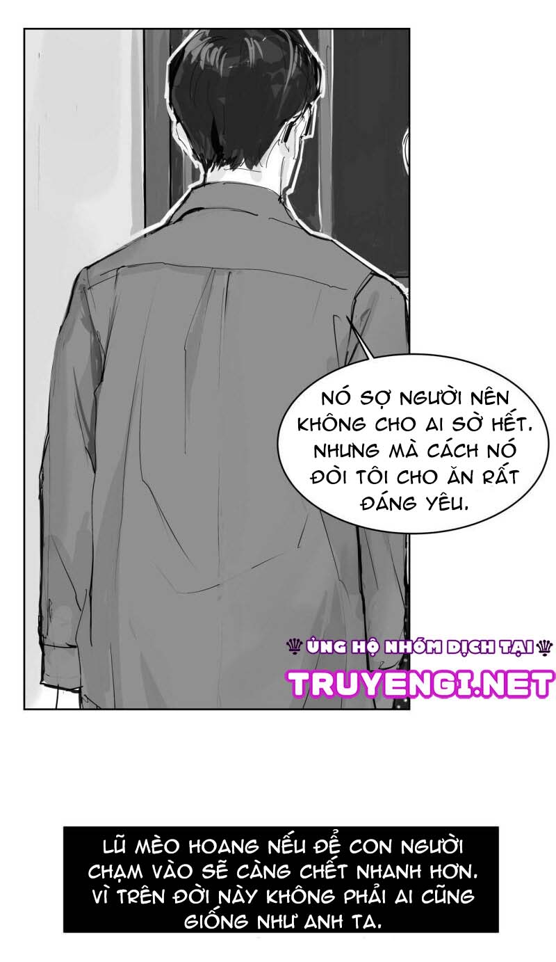 vật bị đánh mất chapter 13 15