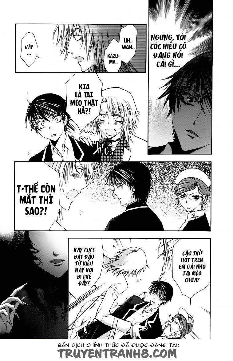 absorb; ability chapter 2 6