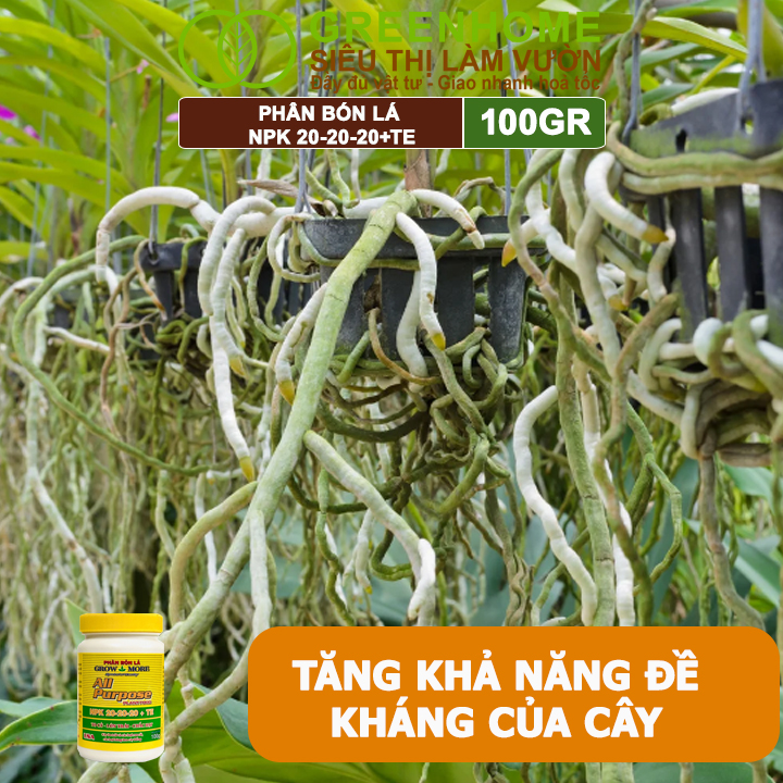 Phân Bón Lá Grow More NPK 20-20-20, GreenHome, Chai 100GR, To Củ, Lớn Trái, Chắc Hạt