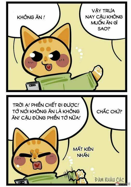 đời không như mình tưởng chapter 58 5