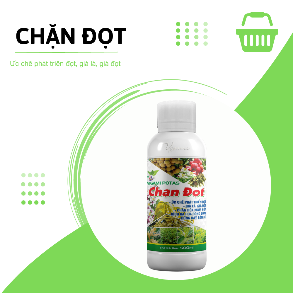 Phân bón VIGAMI POTAS chặn đọt 500ML