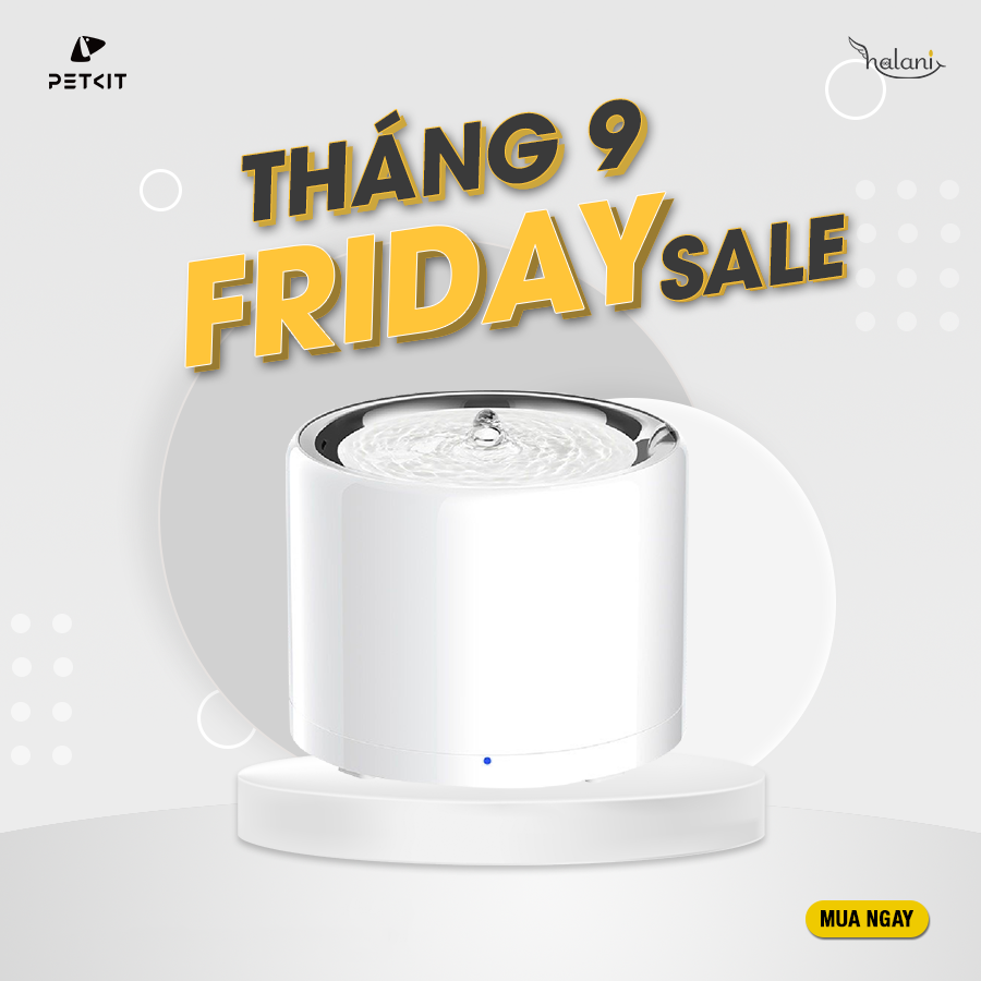 Máy nước everweer Pro