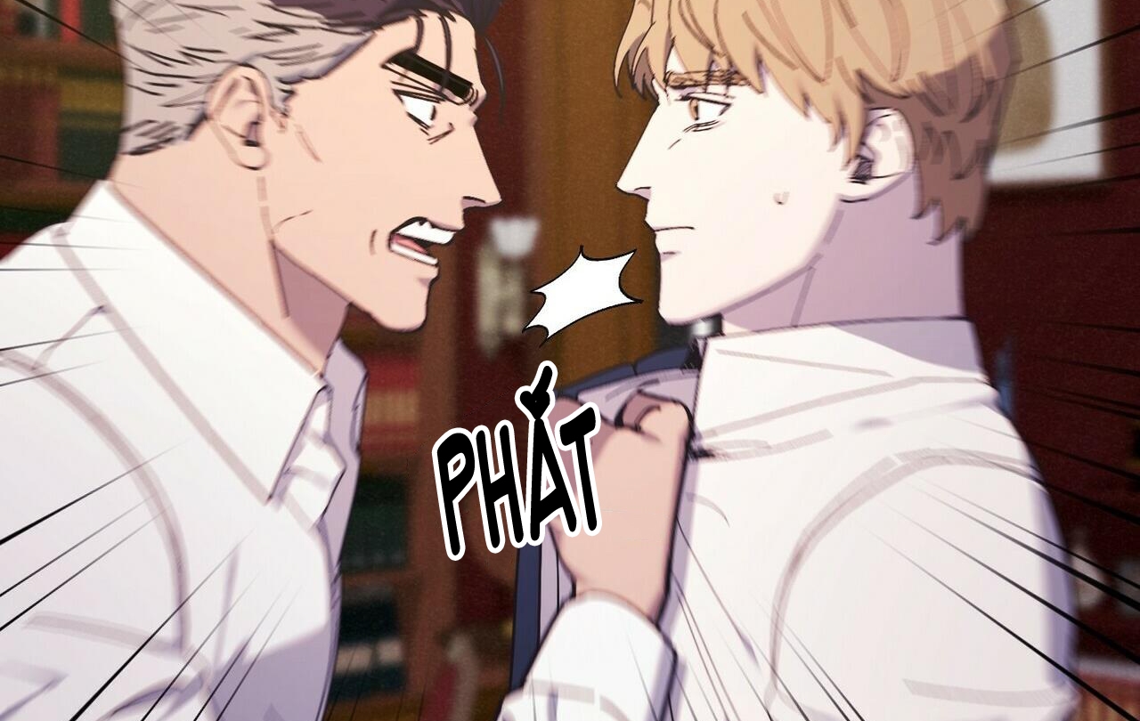 chàng dâu nhà họ kang chapter 28 42