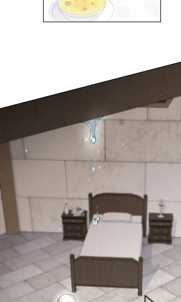 công chúa muôn loài chapter 2 2