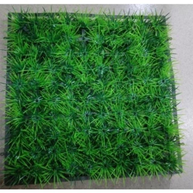 Thảm cỏ nhựa