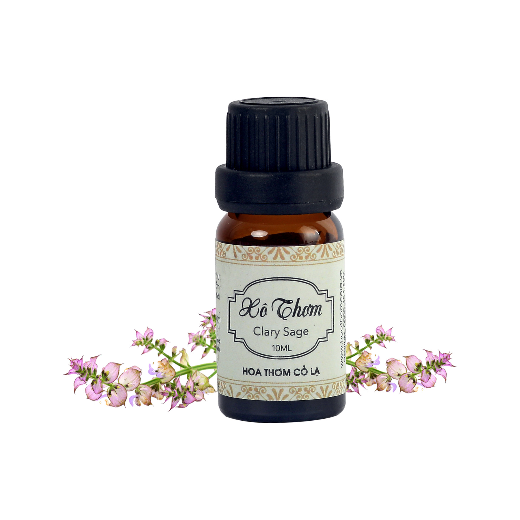 Tinh Dầu Xô Thơm - Clary Sage Essential Oil 5ml - Hoa Thơm Cỏ Lạ