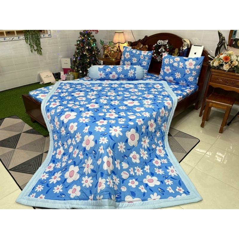 Drap thun hàn quốc