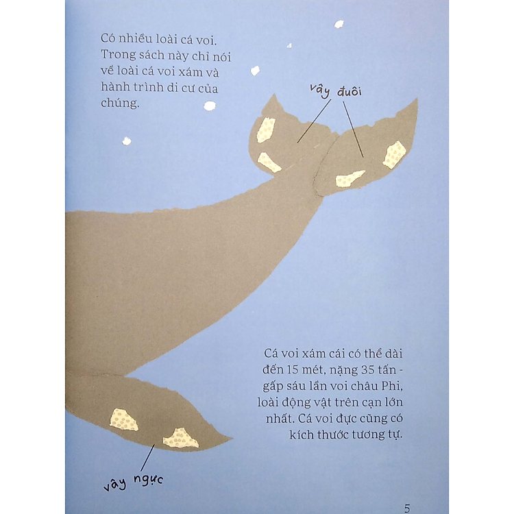 Sách Lâu Đài Khoa Học Của Em