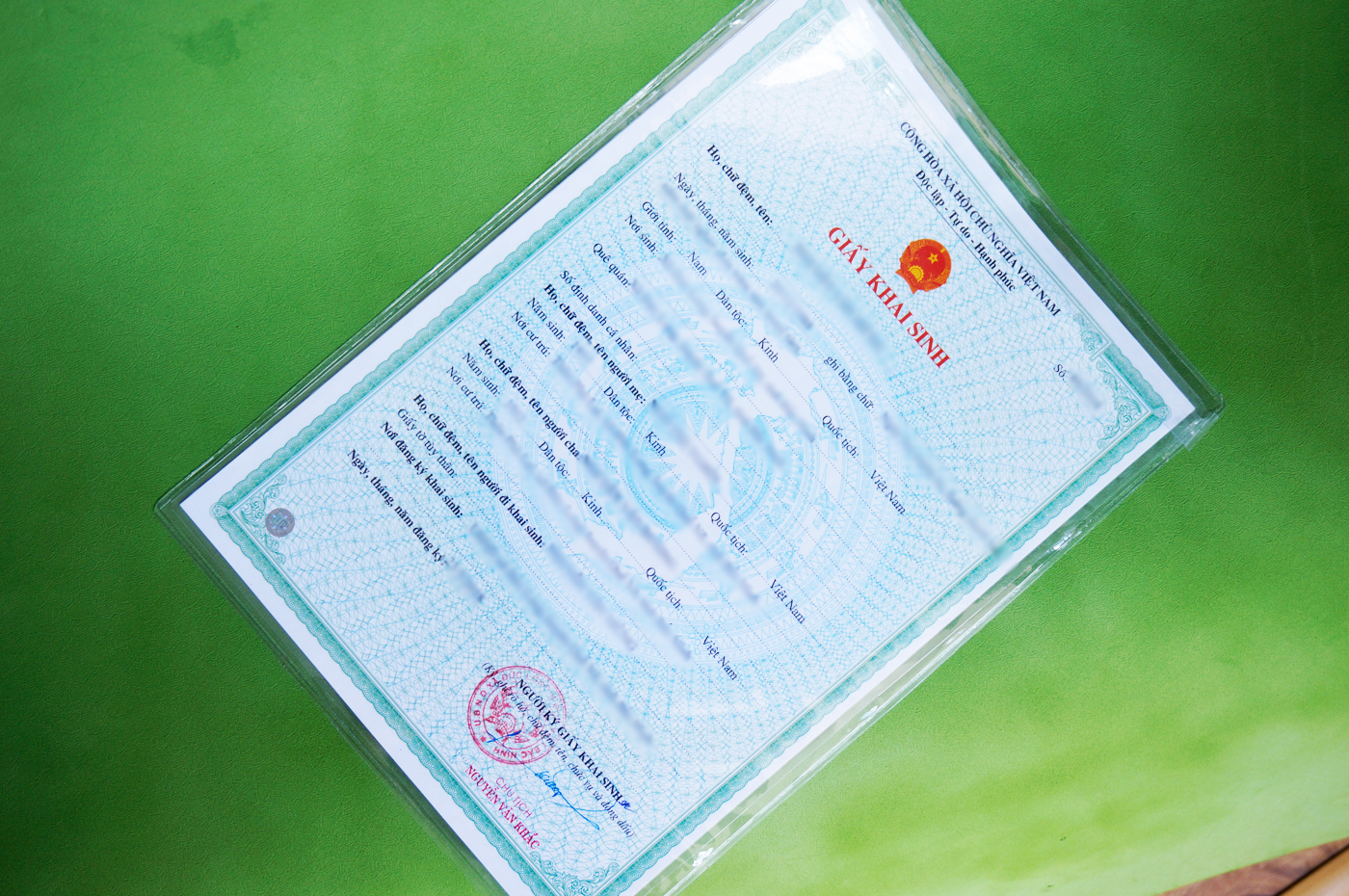 Combo 3 túi nhựa dẻo PVC đựng giấy tờ khổ A4 - Loại có nắp đậy 3B167