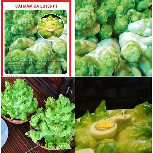 Hạt giống rau cải mầm đá F1 - 0,2gr/gói