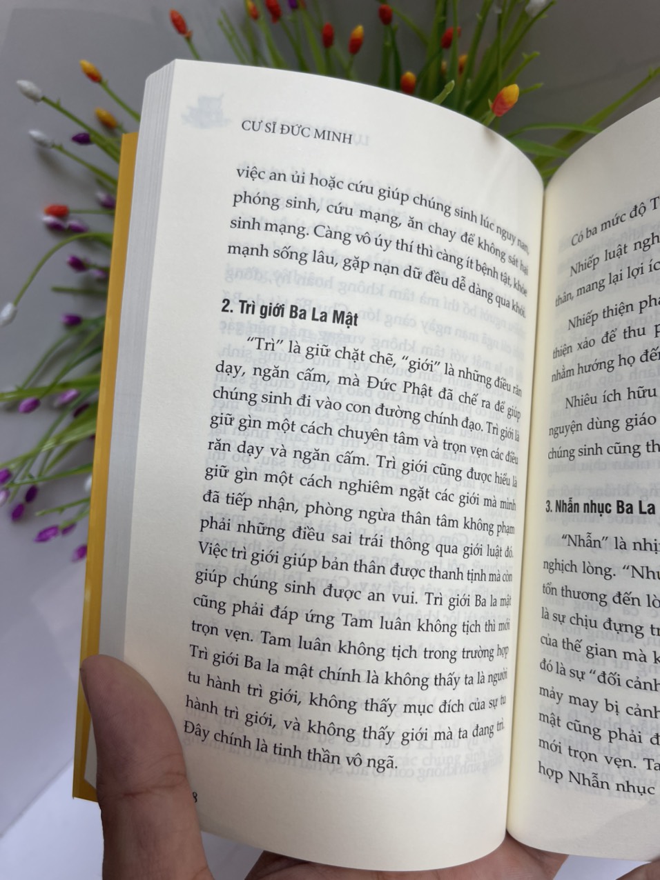 TÌM HIỂU PHẬT HỌC PHỔ THÔNG - Cư sĩ Đức Minh - Thái Hà - NXB Tôn Giáo