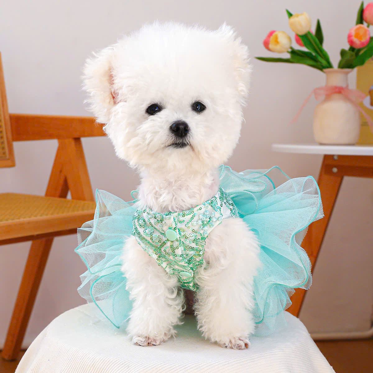 VÁY KIM SA XOÈ SIÊU XINH TỪ 0.5-9KG  DÀNH CHO THÚ CƯNG CHÓ MÈO
