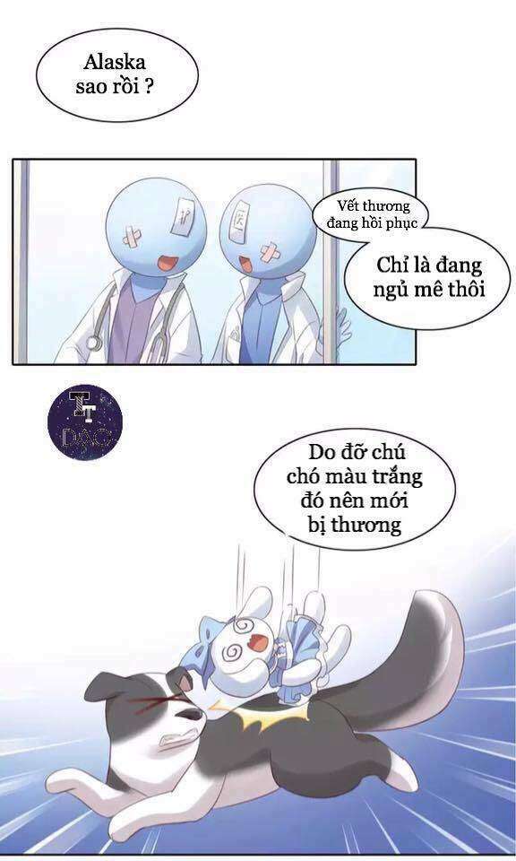 dưới móng vuốt mèo chapter 15 52