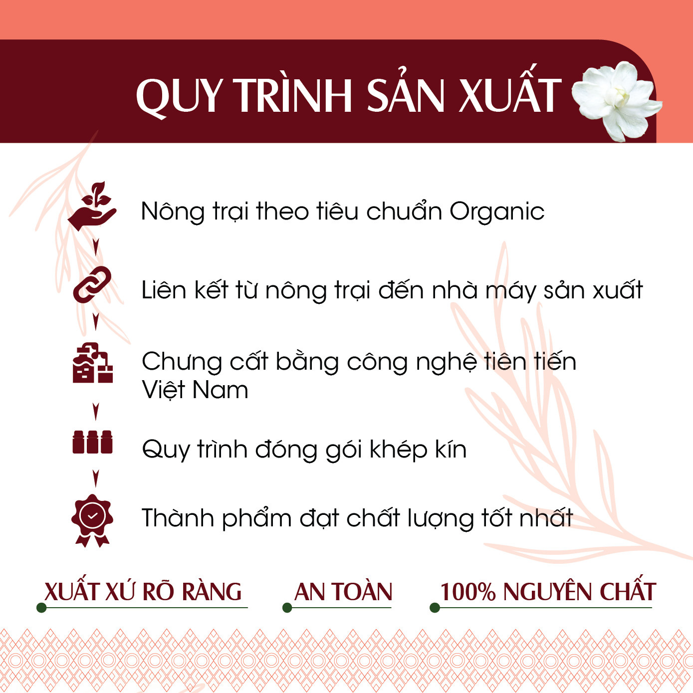 Tinh dầu Bưởi Úc 24Care 10ML - Chiết xuất thiên nhiên, khử mùi, thơm phòng, thư giãn tinh thần.