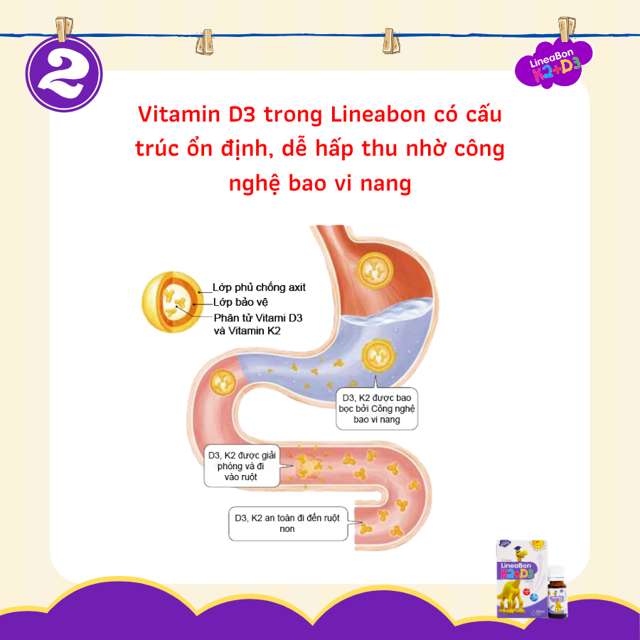 Vitamin tăng trưởng chiều cao LineaBon K2+D3 (10ml)