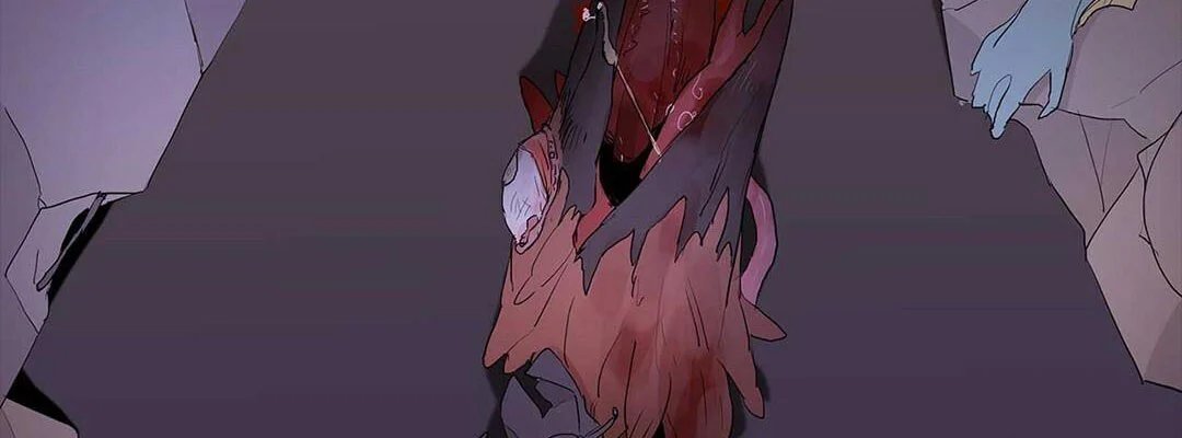 guide cấp b chapter 20 7