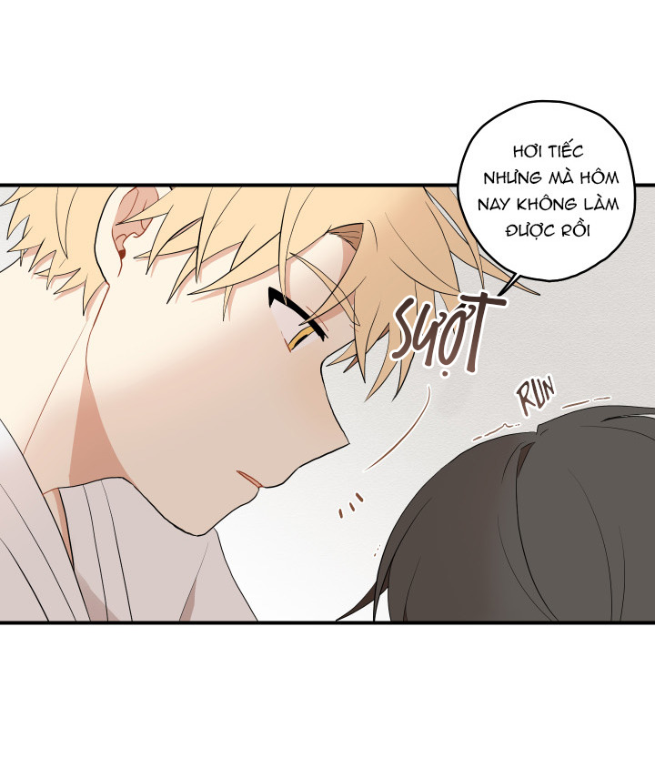 đường hoa liên kiều rơi chapter 19 29