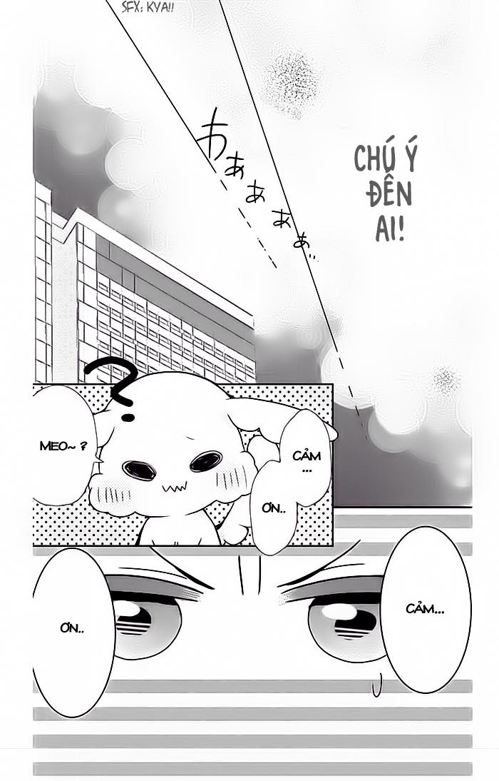 buddy go chapter 6 27