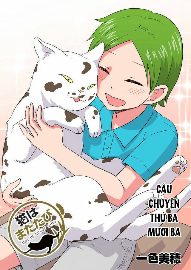 cat is silver vine chapter 33 1