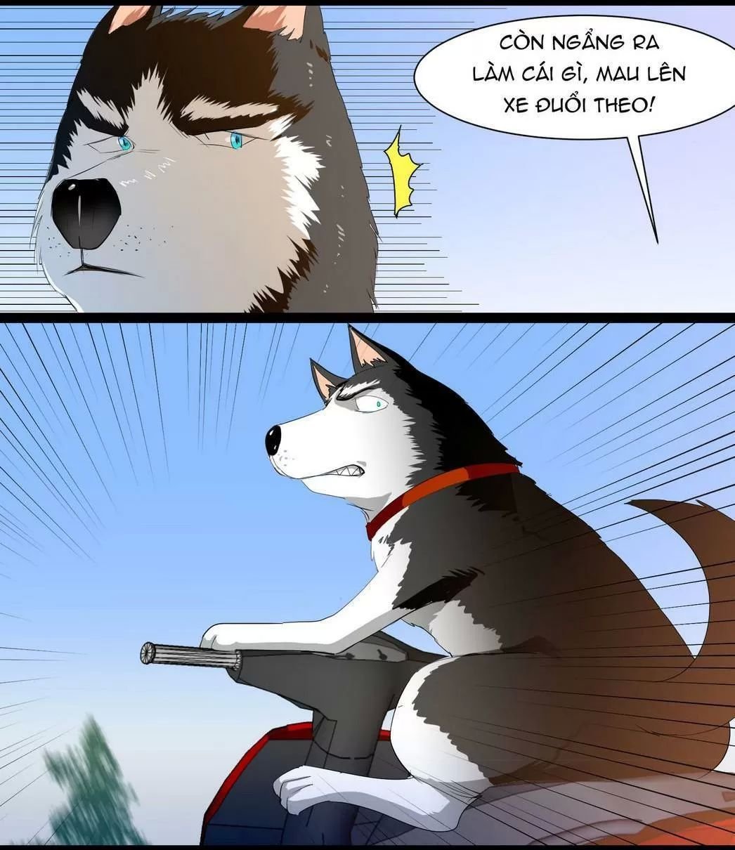 một con chó chapter 62 3