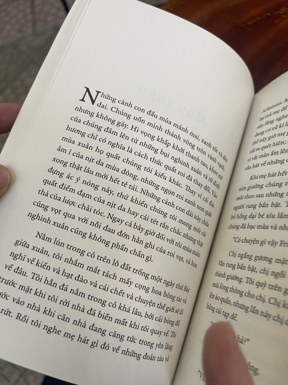 MẮT NÀO XANH NHẤT - TA VẪN LUÔN SỐNG TRONG LÂU ĐÀI – Toni Morrison và Shirley Jackson – San Hô Books