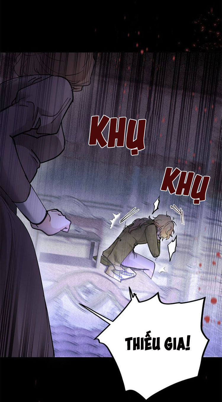 tìm lại nàng camellia chapter 2 43