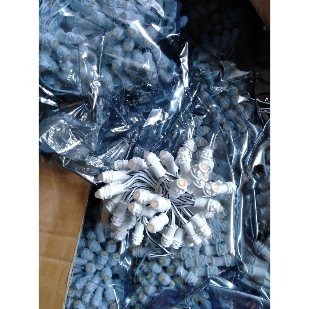 Màu vàng nắng Dây led đúc F5 -12v, dây led đúc cuộn dài 2.5m - 50 bóng trang trí cuốn cây, trang trí quán đẹp long lanh