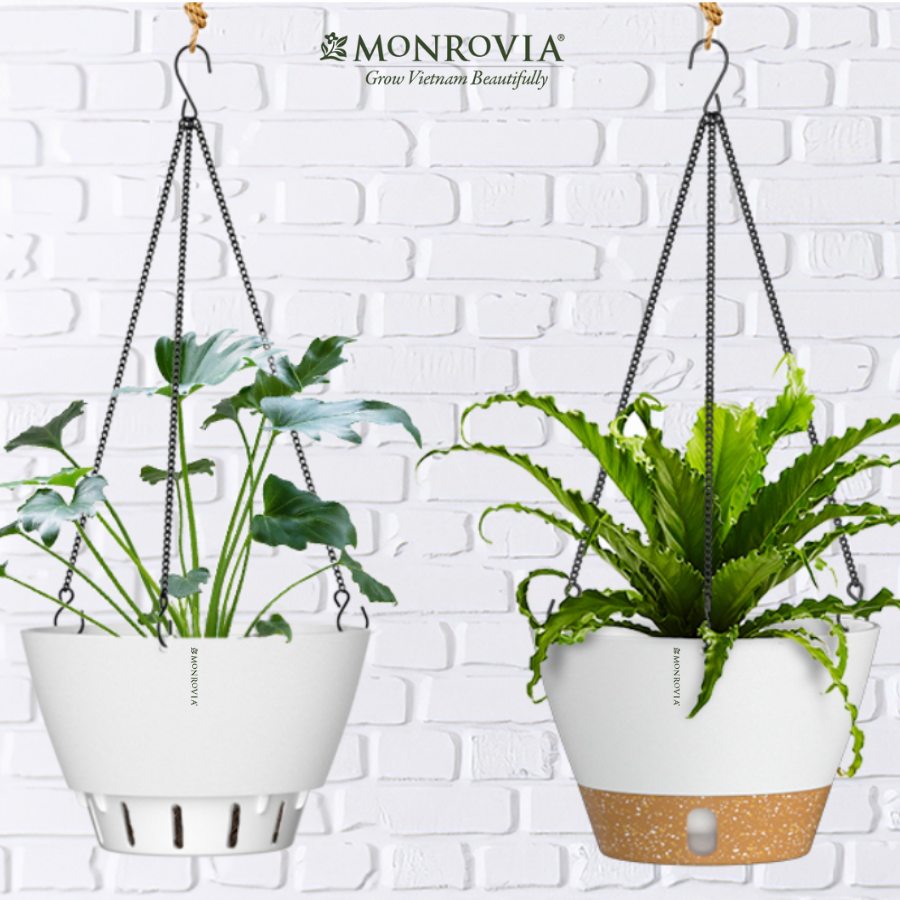 Chậu treo tự tưới MONROVIA cho cây trong nhà và ngoài trời decor không gian sống, có móc treo sắc