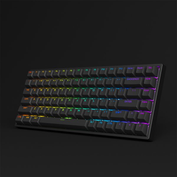 Bàn phím cơ AKKO 3084 v2 RGB – Black/White (Foam tiêu âm / Hotswap / AKKO CS Jelly switch) - Hàng chính hãng