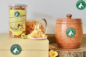 Dừa sấy giòn cao cấp vị gừng