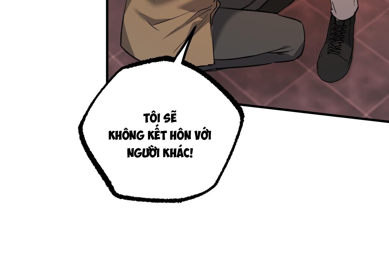 những chú thỏ của hapypy chapter 62 180