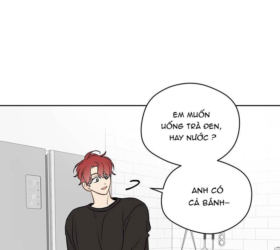 chuyện quái gì với giấc mơ đó vậy chapter 41 61