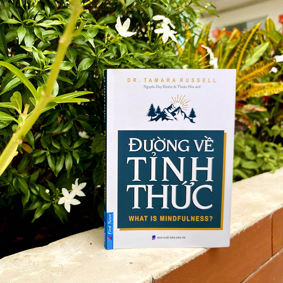 Đường Về Tỉnh Thức