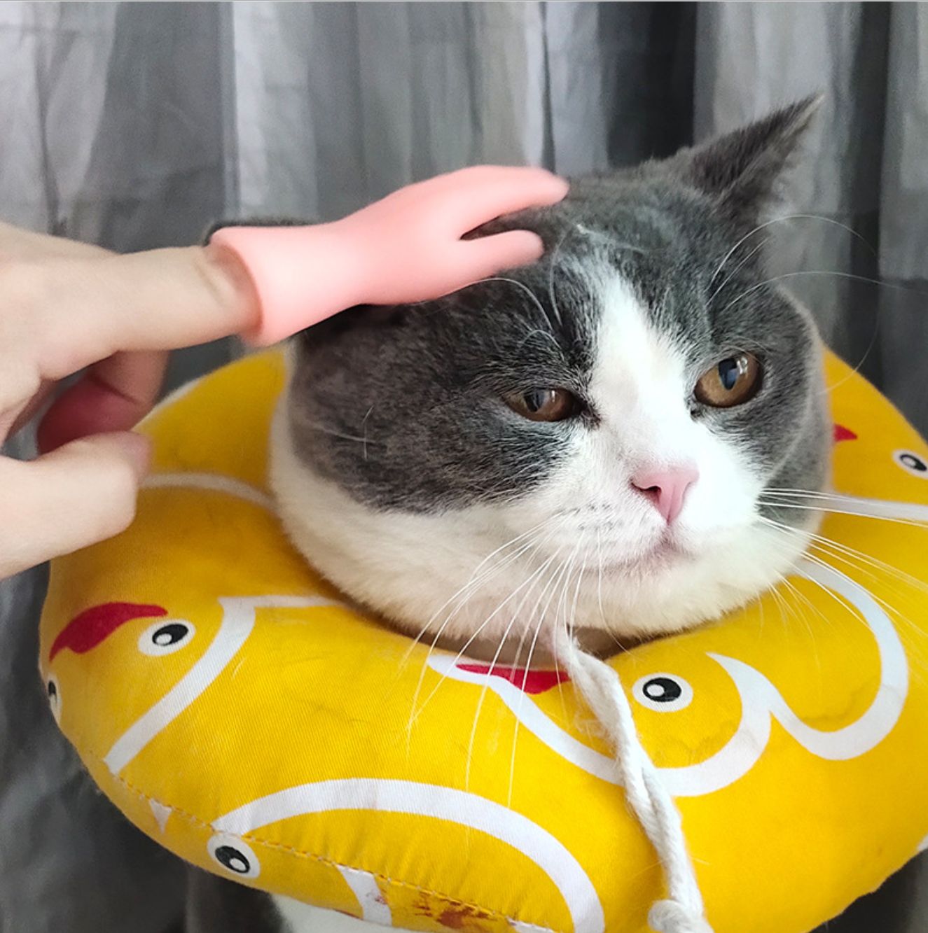 Mô hình bàn tay mini siêu độc đáo - mô hình trưng bày, giải trí, mát xa cho thú cưng