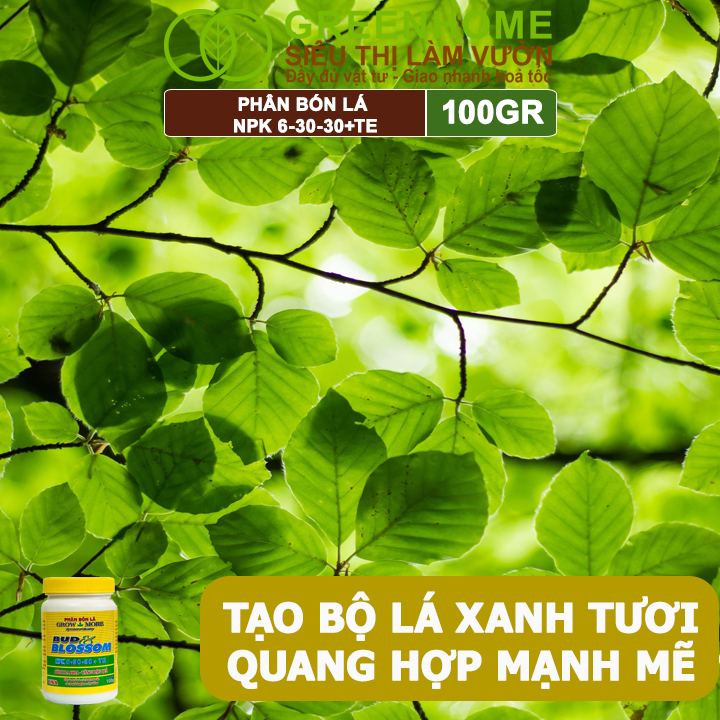 Phân Bón Lá Grow More NPK 6-30-30, GreenHome, Chai 100GR, Kích Ra Hoa, Tăng Đậu Quả
