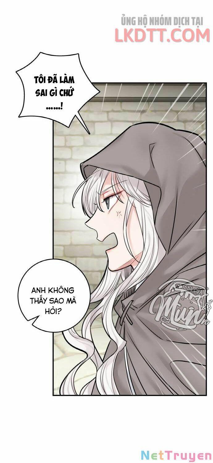 nhật ký tuần trăng mật của phù thủy và rồng chapter 44 42