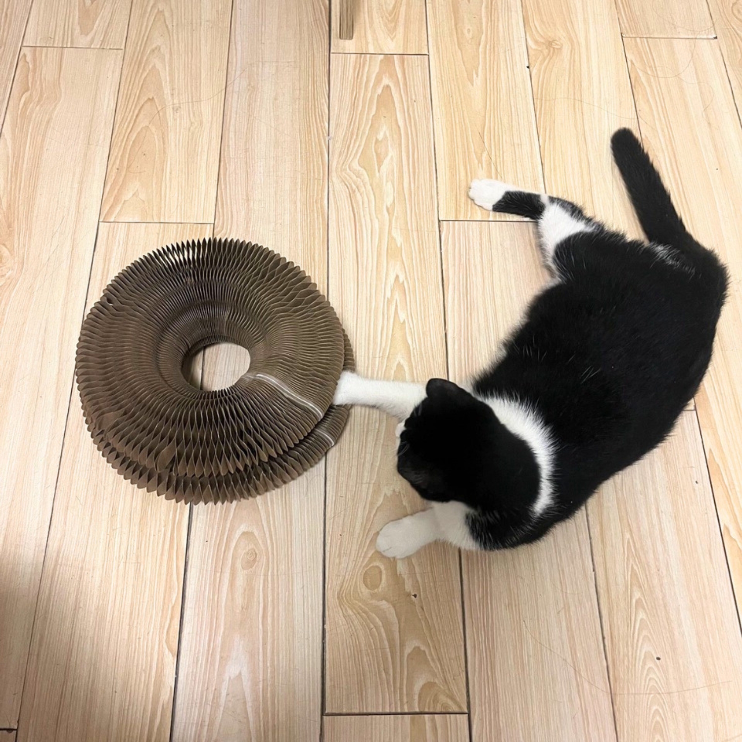 Đồ chơi bàn cào móng cho mèo kèm bóng có chuông giảm căng thẳng | Đồ chơi cào móng trụ cào móng mèo nhiều hình dạng cho nhiều mèo cùng chơi