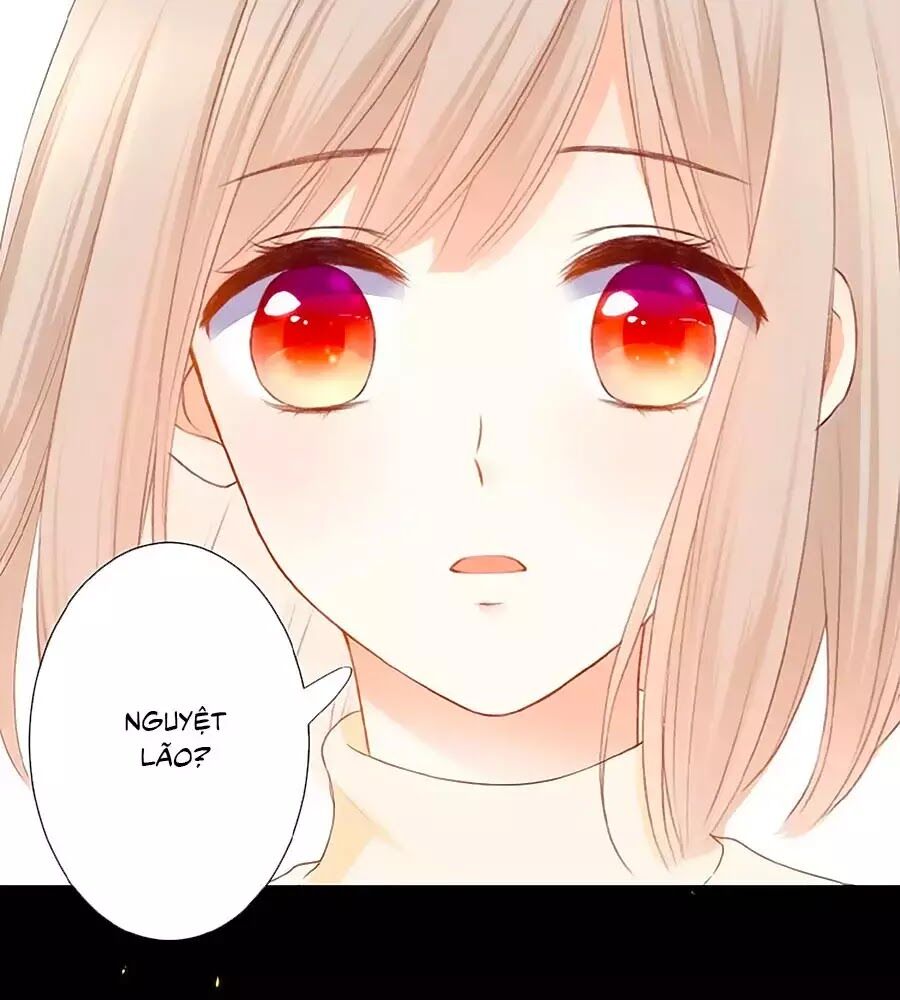 hoa chưa nở rộ chapter 20 67