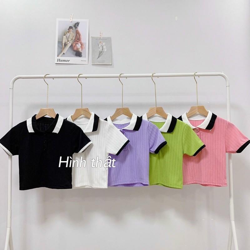 Áo polo croptop thun gân mịn siêu hot