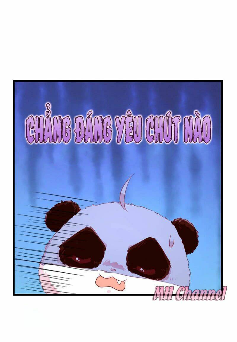 thiên thần gấu trúc muốn được ôm chapter 5 13